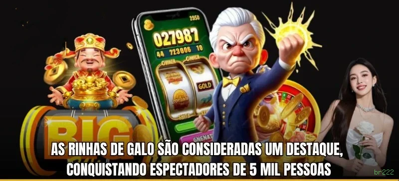 Limites depósito br222
