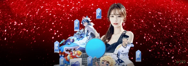 br222 Pagamentos PIX